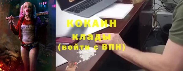 мяу мяу мука Новозыбков