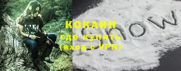 спиды Новодвинск