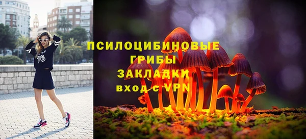 спиды Новодвинск