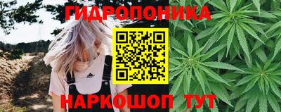Альфа ПВП Гай