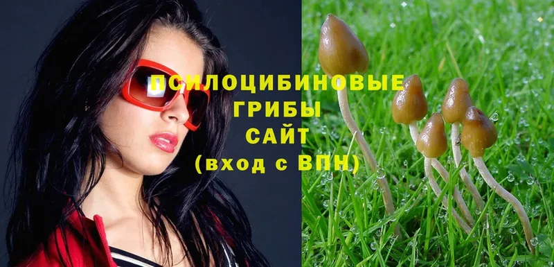 Галлюциногенные грибы Magic Shrooms  Апатиты 