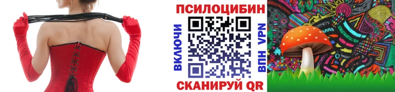 купить наркотики сайты  omg ссылки  Галлюциногенные грибы прущие грибы  Апатиты 