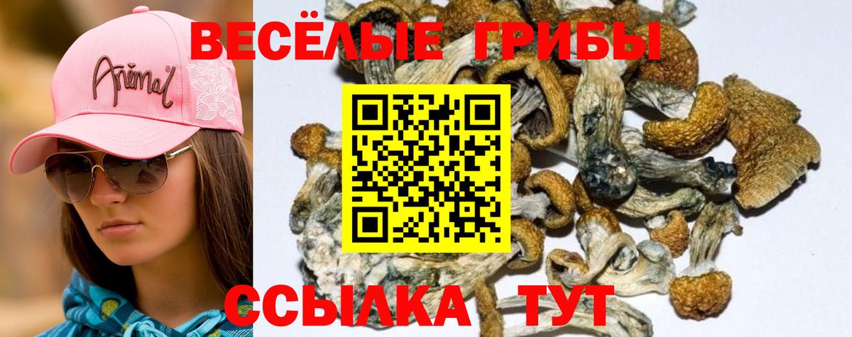 Псилоцибиновые грибы мухоморы Апатиты