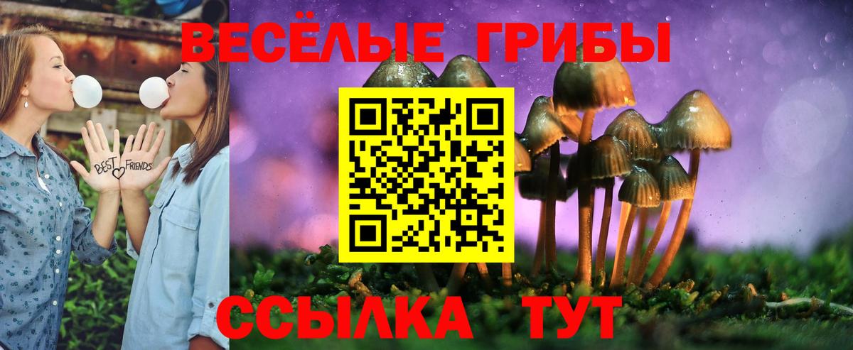 Псилоцибиновые грибы MAGIC MUSHROOMS  Вход с VPN  Апатиты 