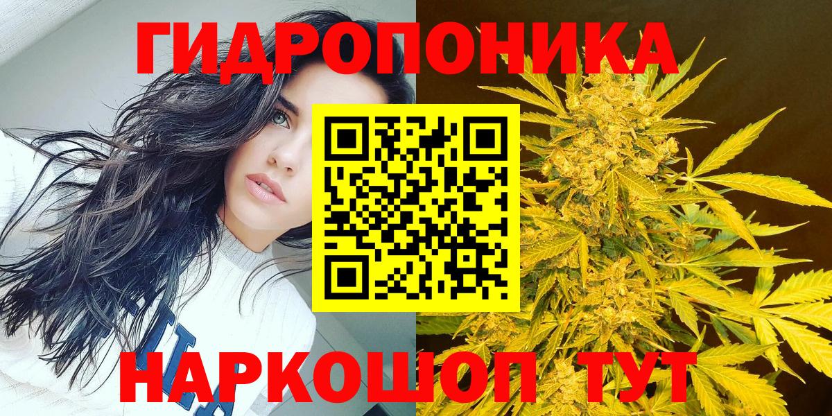 Шишки марихуана марихуана Апатиты